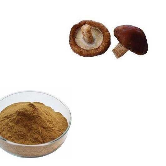 香菇提取物 比例 10:1 食品級 水溶