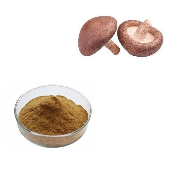 香菇提取物 比例 10:1 食品級 水溶