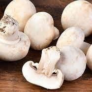 雙孢菇多糖 雙孢菇粉 雙孢菇提取物