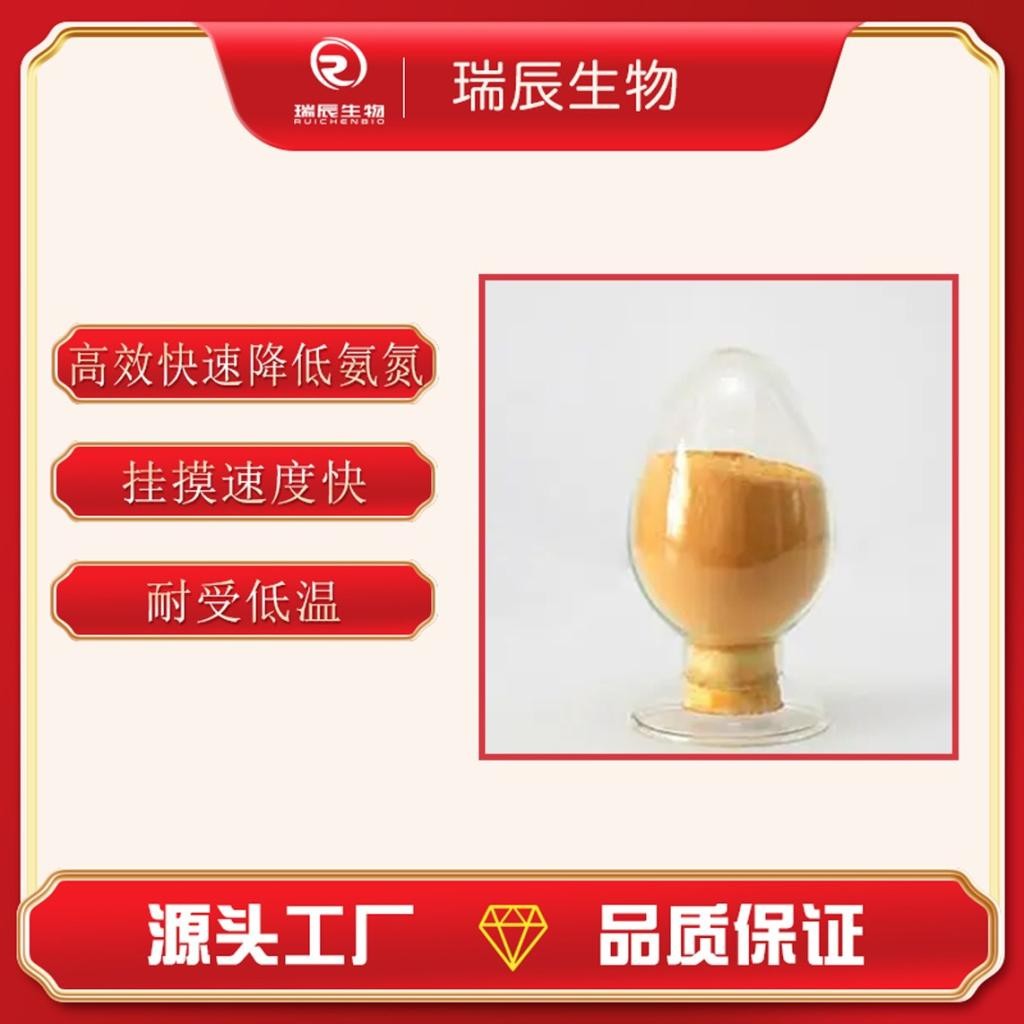 工業(yè)污水用硝化細(xì)菌