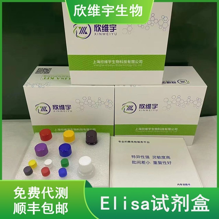 Anti-SPARC (secreted protein acidic and rich in cysteine)富含半胱氨酸的酸性分泌蛋白抗体