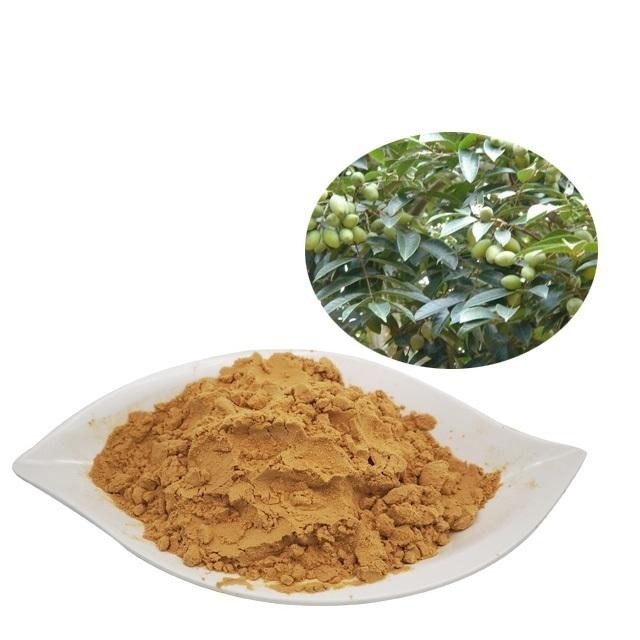 橄欖苦甙 10%-50%橄欖葉提取物 Oleuropein cas84604-15-9