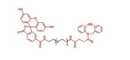 D荧光素-聚乙二醇-二苯并环辛炔FITC-PEG-DBCO产品说明