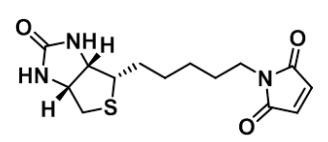 Biotin-C5-Maleimide_Biotin-C5-Mal_生物素-C5-马来酰亚胺