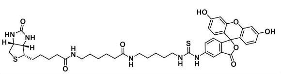 CAS号：134759-22-1,Biotin-FITC 5,生物素荧光-5