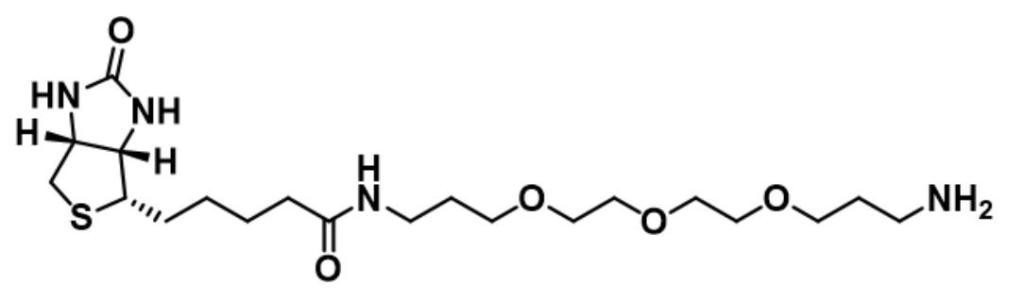 CAS号：183896-00-6,Biotin-C1-PEG3-C1-amine,生物素-C3-PEG3-C3-胺