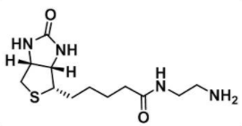 西安Biotin-NH2_CAS:111790-37-5_生物素-氨基供应商价格