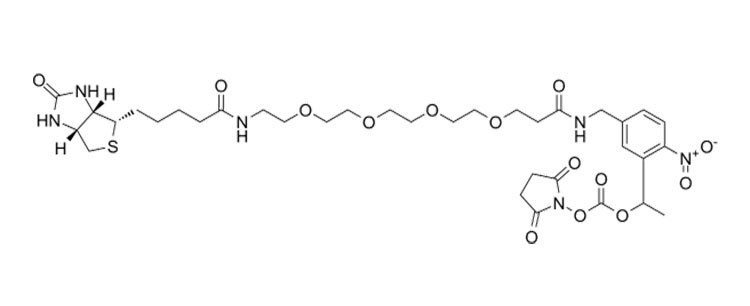 PC-生物素-PEG4-NHS 碳酸盐