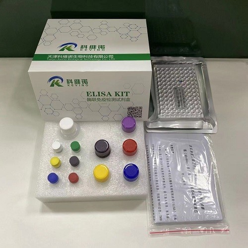 小鼠免疫球蛋白A IgA ELISA试剂盒