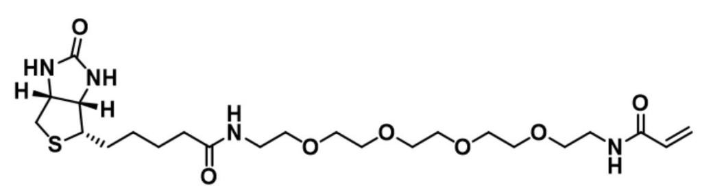 CAS号2408831-65-0_Biotin-PEG4-Acrylamide_生物素PEG4