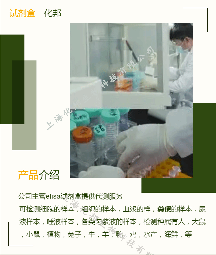 黄素单核苷酸(FMN)elisa检测试剂盒