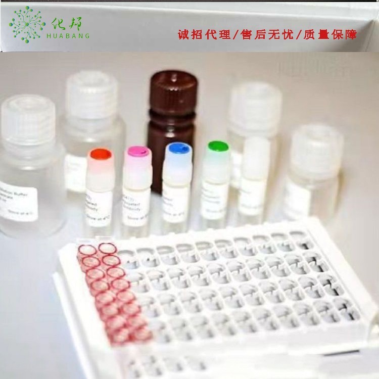 大鼠CC趋化因子受体5(CCR-5)elisa试剂盒