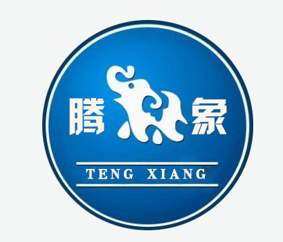 武汉腾象工业科技有限公司 公司logo