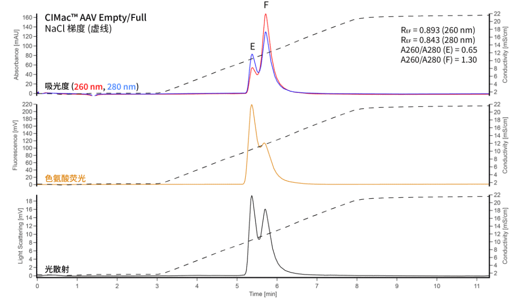 311.1218-2CIMmultus Oligo dT18核酸分离纯化赛多利斯BIA预装柱