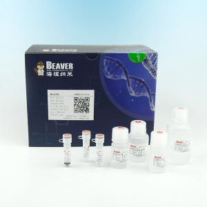 苏州海狸His-tag蛋白纯化试剂盒（IDA-Co)70502-K10  实现多样品平行处理
