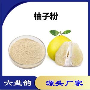 柚子速溶粉 固体饮料原料 水溶性好 喷雾干燥工艺