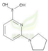 6-(Pyrrolidin-1-yl)pyridine-2-boronic acid CAS号:1310404-18-2 产品图片