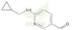 3-Pyridinecarboxaldehyde, 6-[(cyclopropylmethyl)amino]- CAS号:1346808-07-8 产品图片