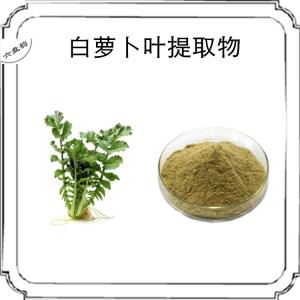 白萝卜叶提取物 莱菔叶粉 喷雾干燥工艺