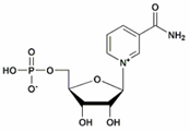 β-烟酰胺单核苷酸(NMN)