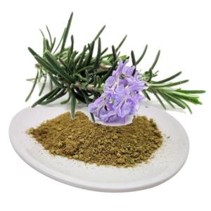 鼠尾草酸 Carnosic acid 产品图片