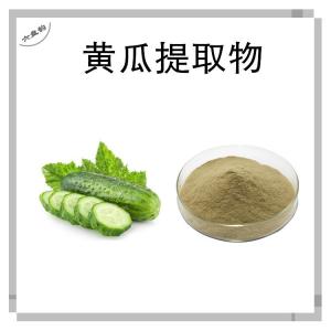 黄瓜提取物 植物萃取 青瓜粉 喷雾干燥工艺 吊瓜浓缩粉