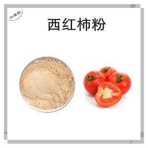 西红柿浓缩粉 比例提取可定制 番茄提取物 蕃柿速溶粉