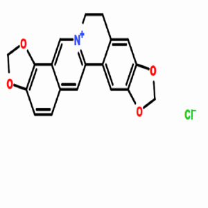 氯化黄连碱，CAS:6020-18-4，常备现货，质量保证