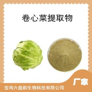 卷心菜提取物 植物萃取 包心菜粉 喷雾干燥工艺 莲花白浓缩粉