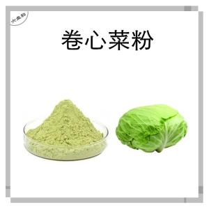 卷心菜速溶粉 果蔬粉 水溶性莲花白粉 喷雾干燥 包心菜提取物