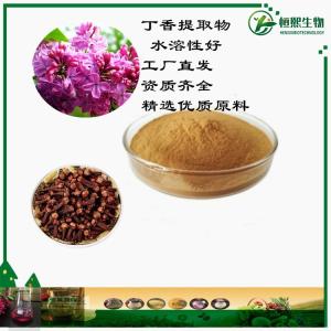 高倍浓缩萃取丁香提取物 紫丁香提取物 水溶丁香粉速溶 丁香花提取物 丁香多糖 支持定制