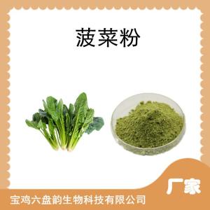 菠菜速溶粉 果蔬粉 水溶性好 赤根菜浓缩粉 喷雾干燥