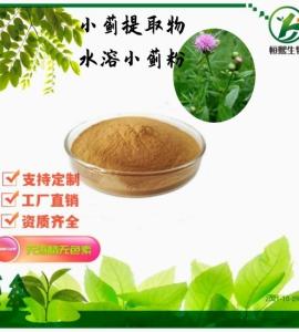 小蓟提取物 小蓟浓缩粉 小蓟原粉