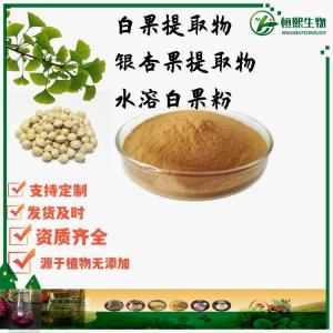 白果提取物 银杏果提取物 银杏果粉 白果浓缩粉 水溶白果粉药食同源