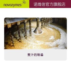 诺维信 啤酒发酵生物酶制剂 真菌 Brew Q 型 食品级 а-淀粉酶 产品图片
