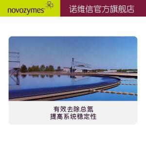 诺维信 生物增效剂反硝化菌工业污水处理 10kg 总氮高效去除剂 产品图片