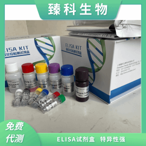 大鼠雌二醇(E2)elisa试剂盒 产品图片