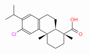 Chlorodehydroabietic