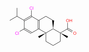 Dichlorodehydroabietic