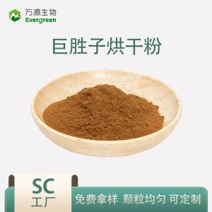 巨勝子烘干粉 陜西萬源供應谷物粉 巨勝子炒制粉
