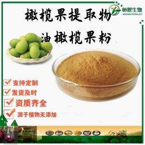 橄榄果提取物 橄榄苦甙 油橄榄果提取物 支持定制