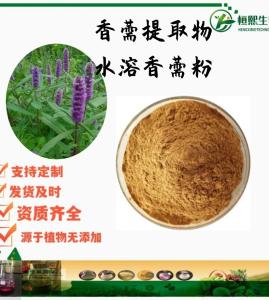 香薷提取物 香薷粉 香薷黄酮 香草浓缩粉 香茹萃取物 支持定制