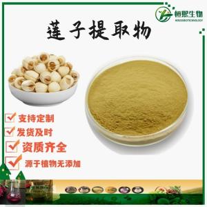 莲子提取物  莲子粉 莲薏提取物 莲肉/白莲提取物