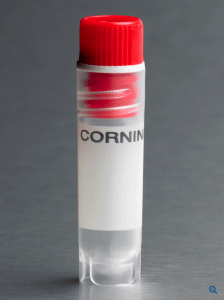 431420 Corning 2mL无菌保存管冻存管可立式圆底红色盖