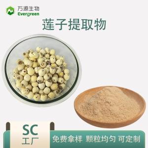 莲子提取物 陕西万源生物 莲子粉 产品图片