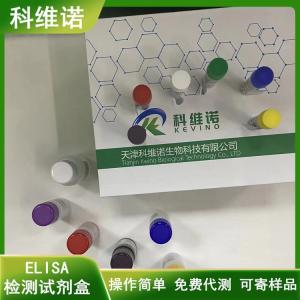 人CHO细胞宿主蛋白(CHOHCP)elisa试剂盒 产品图片