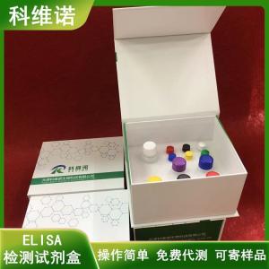 人类风湿因子(RF)elisa试剂盒 产品图片