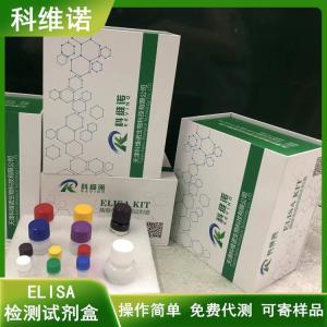 人β2糖原蛋白抗体(β2GYG Ab)elisa试剂盒 产品图片