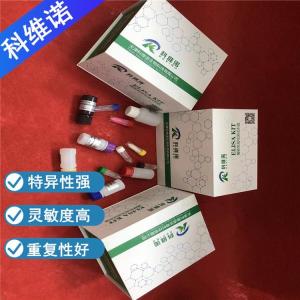 人半胱氨酸白三烯受体1(CysLTR1)elisa试剂盒 产品图片