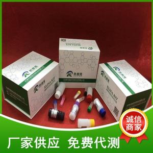 人绒毛膜促性腺激素α(α-HCG)elisa试剂盒 产品图片